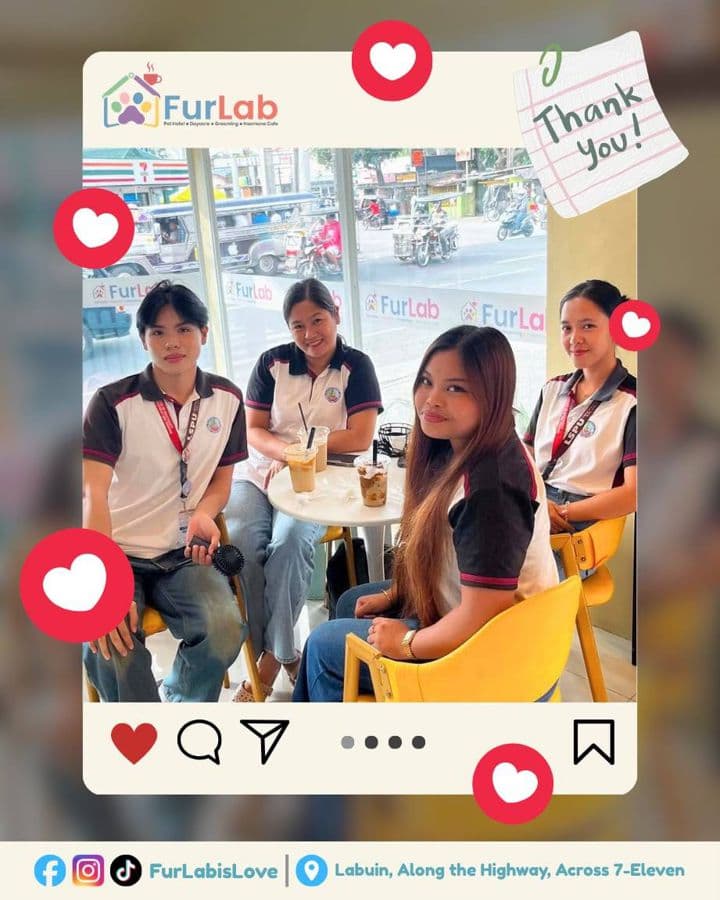 FurLab café guests, thank-you photo 4