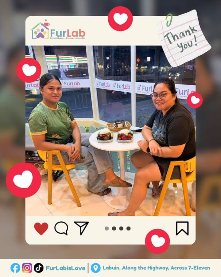 FurLab café guests, thank-you photo 7