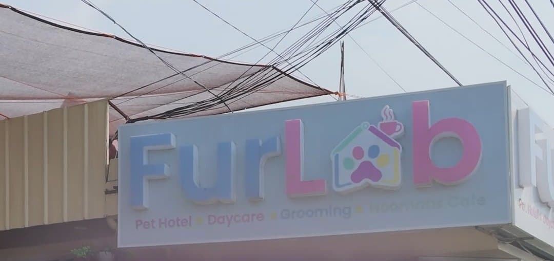 The FurLab shop sign: Pet Hotel, Daycare, Grooming, Hoomans Cafe